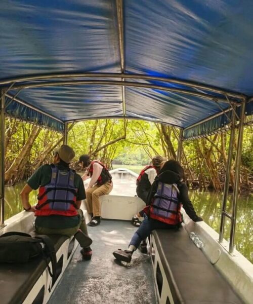 ATV Ride - gallery (5)