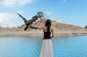 New,Update,From,Bintan,Sand,Dunes,,June,2024