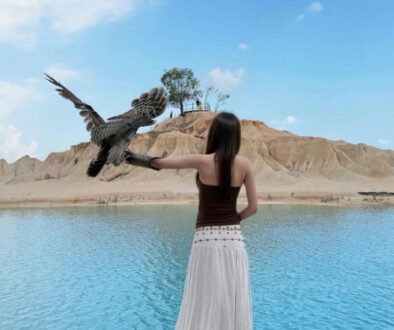 New,Update,From,Bintan,Sand,Dunes,,June,2024