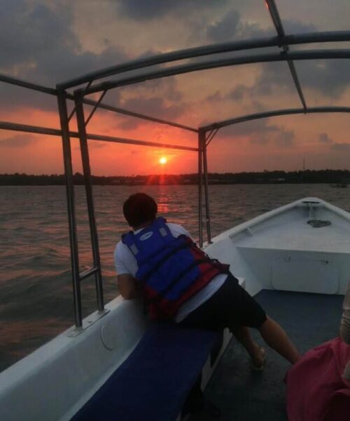 Bintan Mangrove, Sunset & Firefly (3) Bintan Mangrove, Sunset & Firefly (3)