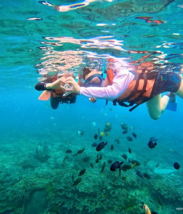 Bintan Snorkeling Experience (2) Bintan Snorkeling Experience (2)
