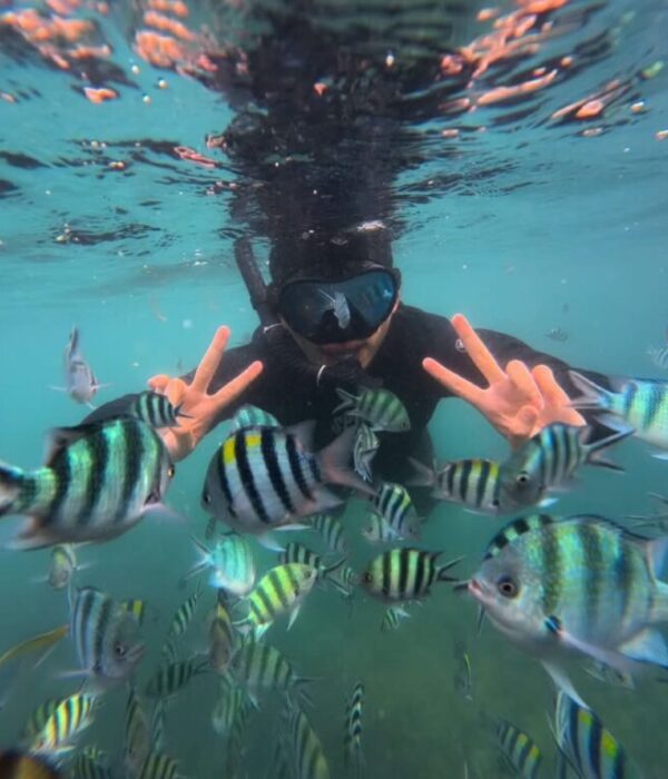 Bintan Snorkeling Experience (3) Bintan Snorkeling Experience (3)