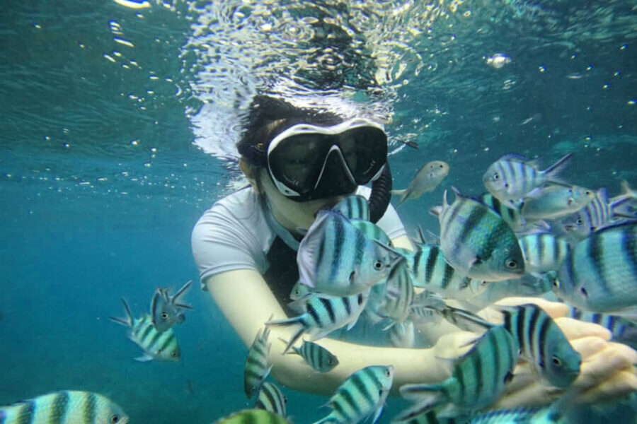 Bintan Snorkeling Experience(1)