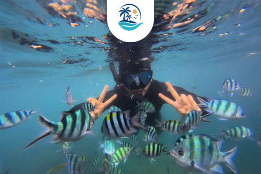 Bintan Snorkeling Explore the Best Underwater Experiences(1)