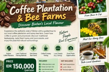 Coffee Plantation & Bee Farm