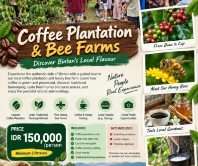 Coffee Plantation & Bee Farm
