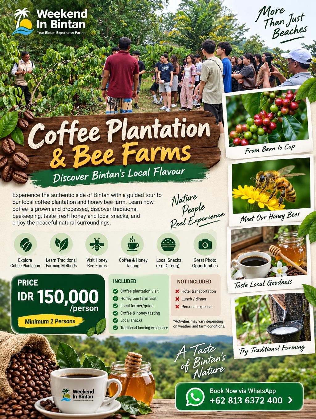 Coffee Plantation & Bee Farm