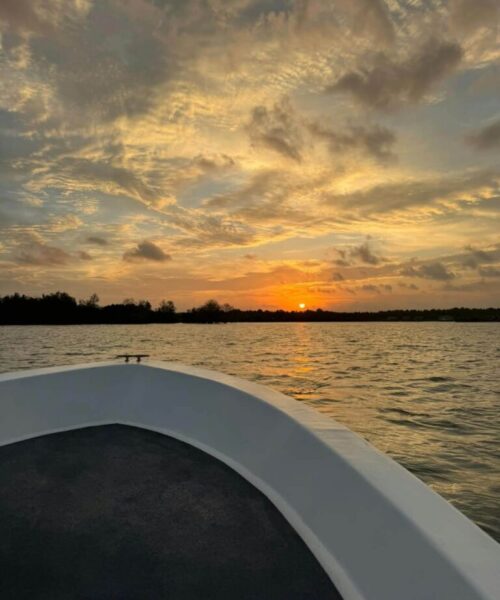 Sunset Tour on Boat (3) Sunset Tour on Boat (3)