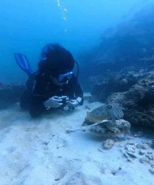 Fun diving experience in bintan Fun diving experience in bintan