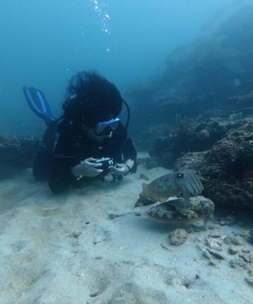 Fun diving experience in bintan Fun diving experience in bintan